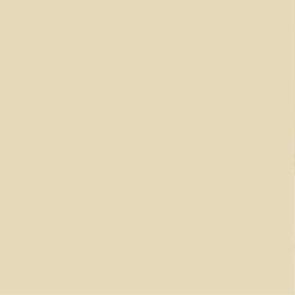 PURE&PAINT - Peinture velouté Pure & Paint - Dune - 100ml - large