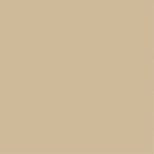 PURE&PAINT - Peinture velouté Pure & Paint - Sarrasin - 100ML - large