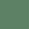 PURE&PAINT - Peinture velouté Pure & Paint - Forêt - 100ml - vignette