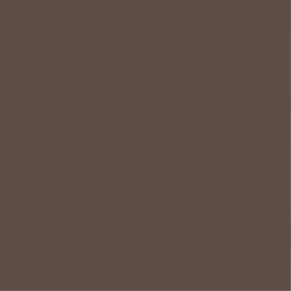 PURE&PAINT - Peinture velouté Pure & Paint - Brun ours - 100ML - large