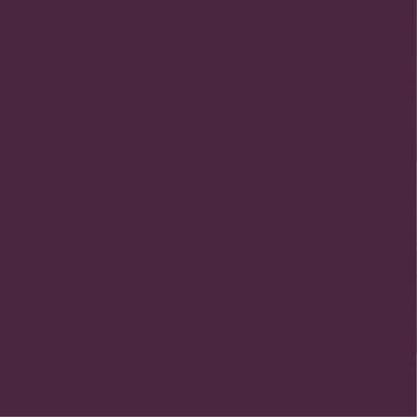 PURE&PAINT - Peinture velouté Pure & Paint - Aubergine - 100ML - large