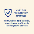 CAT CHOW - Croquettes chat adulte - Poulet - 10kg - vignette