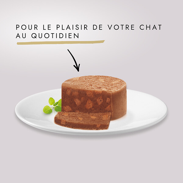 GOURMET - Boite GOLD Les Terrines aux Légumes - 12x85g - large