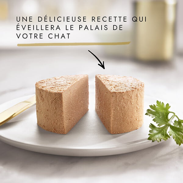 GOURMET - Aliment chat adulte viande-poisson - 12x85 g - large