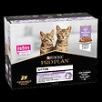 PROPLAN - Aliment chaton Junior - Dinde - 10x85g - vignette