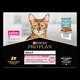 PROPLAN - Aliment chat adulte Délicate - Poisson - 10x85g - vignette