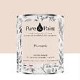 PURE&PAINT - Peinture végétale - Velouté - Plumetis - 2,5L - vignette