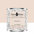 PURE&PAINT - Peinture veloutée Pure & Paint - Plumetis - 0.5L - vignette