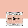 PURE&PAINT - Peinture velouté Pure & Paint - Roséus - 100ML - vignette