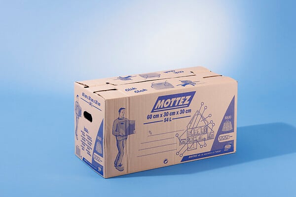 MOTTEZ - Cartons - Lot de 20 - 54L - large