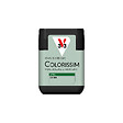 V33 PEINTURE - Peinture de finition satinée Colorissim - Lichen - 75ml - vignette