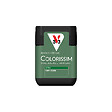 V33 PEINTURE - Peinture Colorissim satin Vert cèdre - Testeur 75ml - vignette