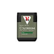 V33 PEINTURE - Peinture décorative Colorissim satin - Glaise verte - 75ml - vignette