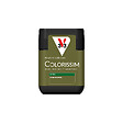 V33 PEINTURE - Peinture Colorissim satin Cardamome 75 ML - vignette