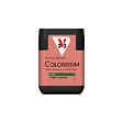V33 PEINTURE - Peinture satinée Colorissim Sorbet de fraise 75ml - vignette