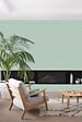 V33 PEINTURE - Peinture Colorissim satin Lichen 2L5 - vignette