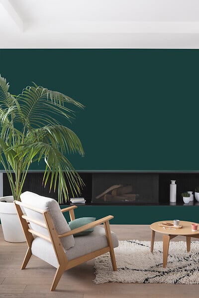 V33 PEINTURE - Peinture Colorissim satin Forêt noire 2L5 - large