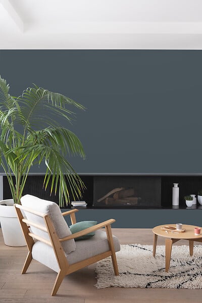 V33 PEINTURE - Peinture Colorissim satin Anthracite 2L5 - large