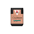 V33 PEINTURE - Peinture Colorissi mat Fard à joues 75 ML - vignette