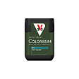 V33 PEINTURE - Peinture Colorissi mat Vert romarin 75 ML - vignette
