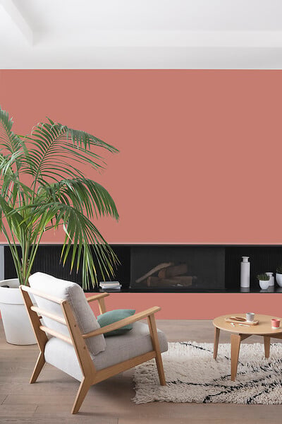 V33 PEINTURE - Peinture Colorissi mat Rose fumé 0L5 - large