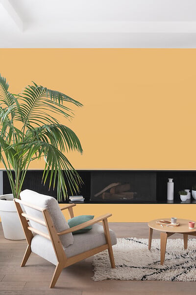 V33 PEINTURE - Peinture Colorissi mat Jaune miel 0L5 - large