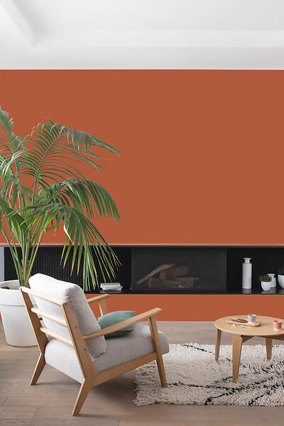 V33 PEINTURE - Peinture Colorissi mat Terracotta chic 0L5 - large