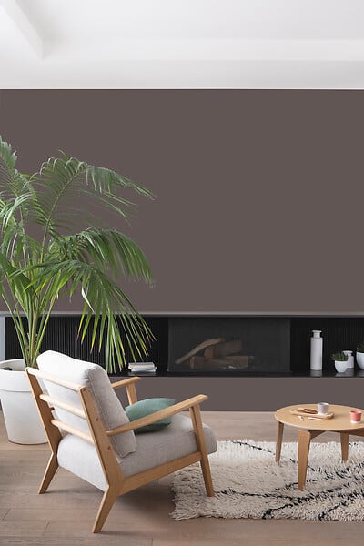 V33 PEINTURE - Peinture Colorissi mat Bois brulé 2L5 - large