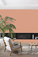 V33 PEINTURE - Peinture Colorissi mat Fard à joues 2L5 - vignette