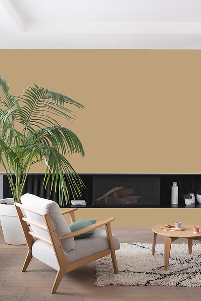 V33 PEINTURE - Peinture Colorissi mat Beige trench-coat 2L5 - large
