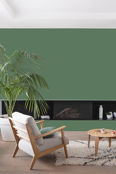 V33 PEINTURE - Peinture Colorissi mat Vert jade 2L5 - large