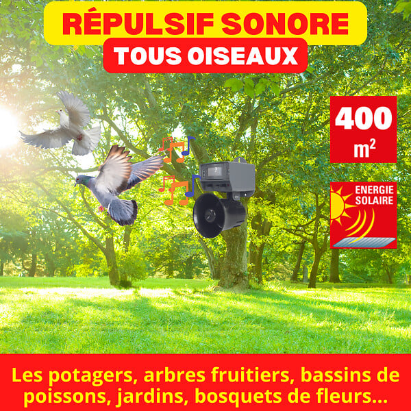 ACTO - Repulsif sonore solaire oiseaux - large