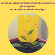 ACTO - Piège à glu pour plantes - Jaune - Sans insecticide - vignette