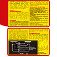 ACTO - Répulsif ultrasons professionnel rats - souris - vignette