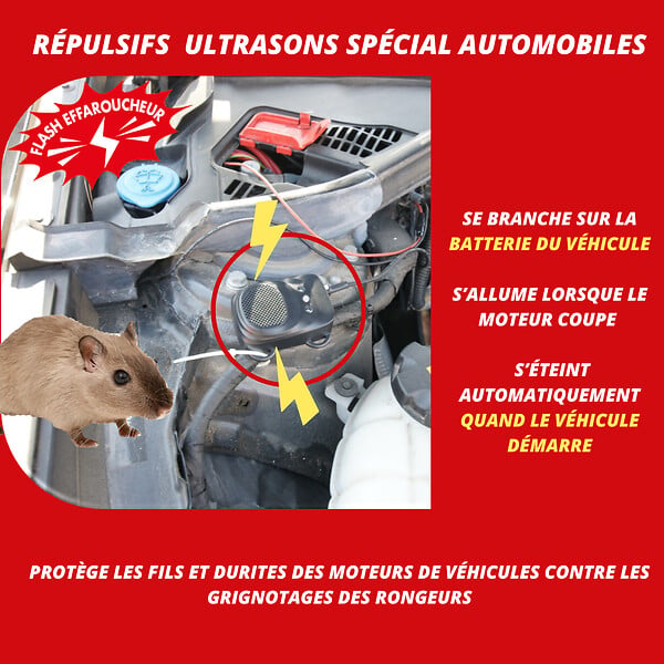 RETRO - Répulsif ultrasons rongeurs auto - 12V-24V - flash lumineux - large