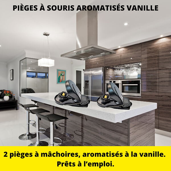 ACTO - Piège à souris plastique - arôme vanille - lot de 2 - large