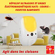 RETRO - Ultrasons et ondes magnétiques rats-souris-insectes rampants - vignette
