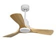 PURLINE - Ventilateur de plafond Réversible  Thermostat Wifi Moteur à courant continu Toits en pente Télécommande Hypersilence Mémoire - vignette