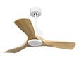 PURLINE - Ventilateur de plafond Réversible  Thermostat Wifi Moteur à courant continu Toits en pente Télécommande Hypersilence Mémoire - vignette