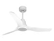 PURLINE - Ventilateur de plafond Réversible  Thermostat Pays vendable Wifi Moteur à courant continu Toits en pente Télécommande Adaptateur 2/3 Lames Hypersilence - vignette