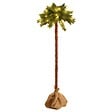 VIDAXL - vidaXL Sapin de Noël avec LED 180 cm - vignette