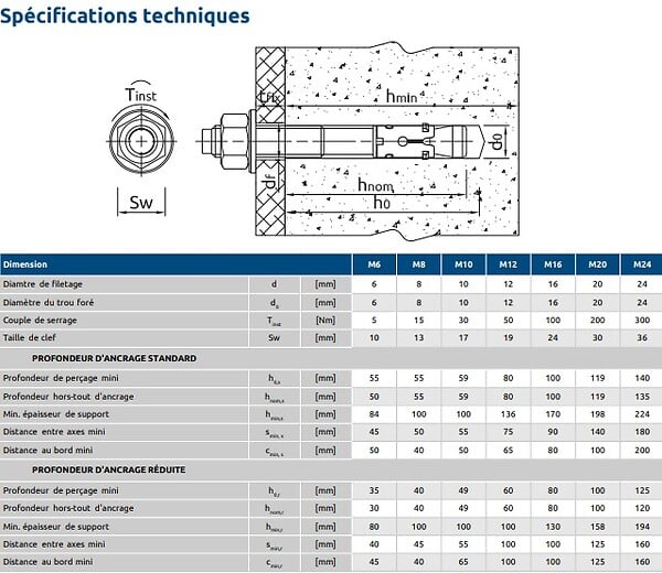 RAWL - Goujons d'ancrage pour béton non fissuré 6X50 boîte de 100 - RAWL - R-XPT-06050/10 - large