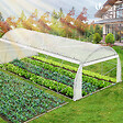 VOUNOT - Serre de jardin Toute Saison 18m2 avec portes laterales - vignette