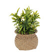 ATMOSPHERA - Plante artificielle pot en Roseau H 20 cm - vignette