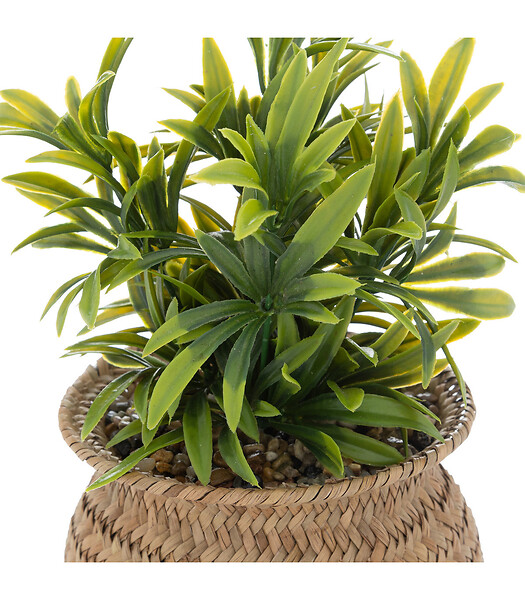 ATMOSPHERA - Plante artificielle pot en Roseau H 20 cm - large