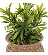 ATMOSPHERA - Plante artificielle pot en Roseau H 20 cm - vignette