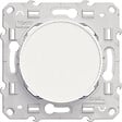 SCHNEIDER ELECTRIC - Odace Obturateur - Blanc - Fixation par vis - vignette