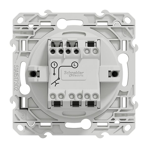 SCHNEIDER ELECTRIC - Poussoir plastique Odace Anthracite 10A - large