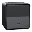 SCHNEIDER ELECTRIC - Interrupteur va-et-vient lumineux Mureva Styl - IP55 - vignette