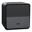 SCHNEIDER ELECTRIC - Mureva Styl-Bouton poussoir lumineux 10A-Anthracite - vignette